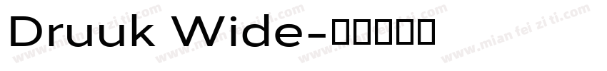 Druuk Wide字体转换